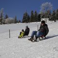 IMG_1498563