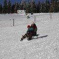 IMG_1498573