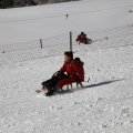 IMG_1498585
