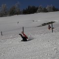 IMG_1498595