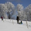 IMG_1498685