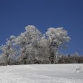 IMG_1498689