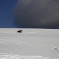 IMG_1498708