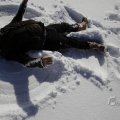 IMG_1498798