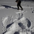 IMG_1498805