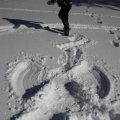 IMG_1498806