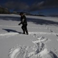 IMG_1498809