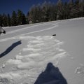 IMG_1498826