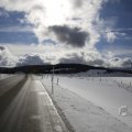 IMG_1498852