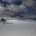 IMG_1498853