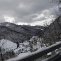 IMG_1498923