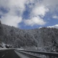 IMG_1498937