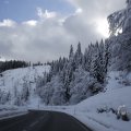 IMG_1498951