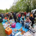IMG_1519016