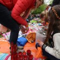 IMG_1519023