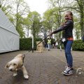 IMG_1519678