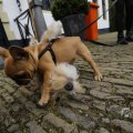 IMG_1519714