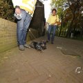 IMG_1520926