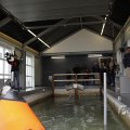 IMG_1521089
