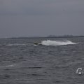 IMG_1521253
