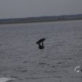 IMG_1521406