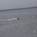 IMG_1521490