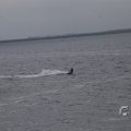 IMG_1521491