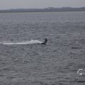 IMG_1521543