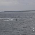 IMG_1521597