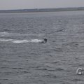 IMG_1521598
