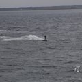 IMG_1521599