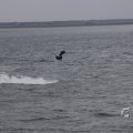 IMG_1521601