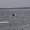 IMG_1521603