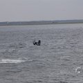 IMG_1521604