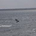 IMG_1521605