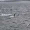 IMG_1521607