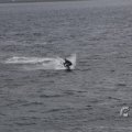 IMG_1521608