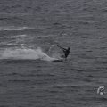 IMG_1521615