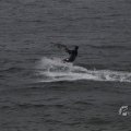 IMG_1521644