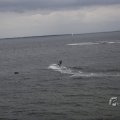 IMG_1521648