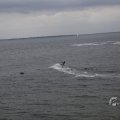 IMG_1521649