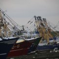 IMG_1521672