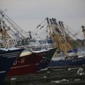 IMG_1521673