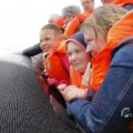 IMG_1521804