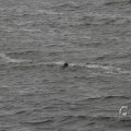 IMG_1522198