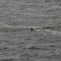 IMG_1522200
