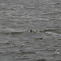 IMG_1522201