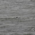 IMG_1522202