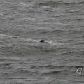 IMG_1522203