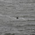 IMG_1522205